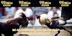 Đá Gà 98WIN - Đỉnh Cao Cá Cược Chọi Kê Năm 2026 - BET752.BEST