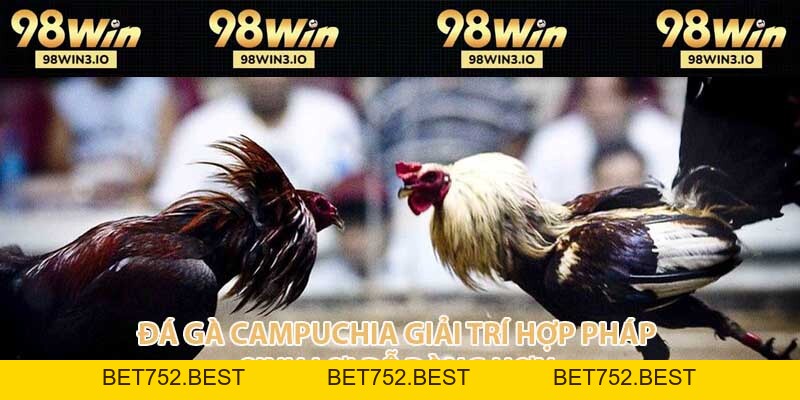 Đá Gà Campuchia - Giải Trí Hợp Pháp Sinh Lợi Dễ Dàng 2026 - BET752.BEST
