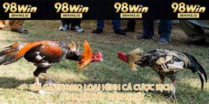 Đá Gà 98WIN - Đỉnh Cao Cá Cược Chọi Kê Năm 2026 - BET752.BEST