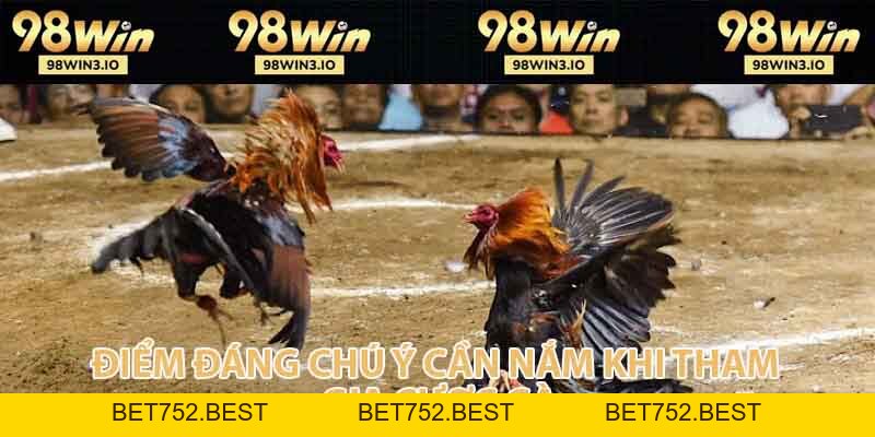Đá Gà 98WIN - Đỉnh Cao Cá Cược Chọi Kê Năm 2026 - BET752.BEST