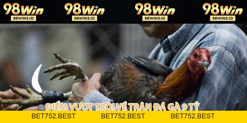 Trận Đá Gà 9 Tỷ - Kỷ Lục Đỉnh Cao Làng Chọi Kê Năm 2026 - BET752.BEST
