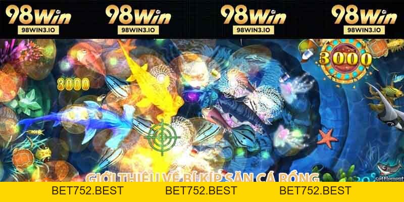 Bí Kíp Săn Cá Rồng Hiệu Quả Giúp Bạn Thắng Lớn 2026 - BET752.BEST