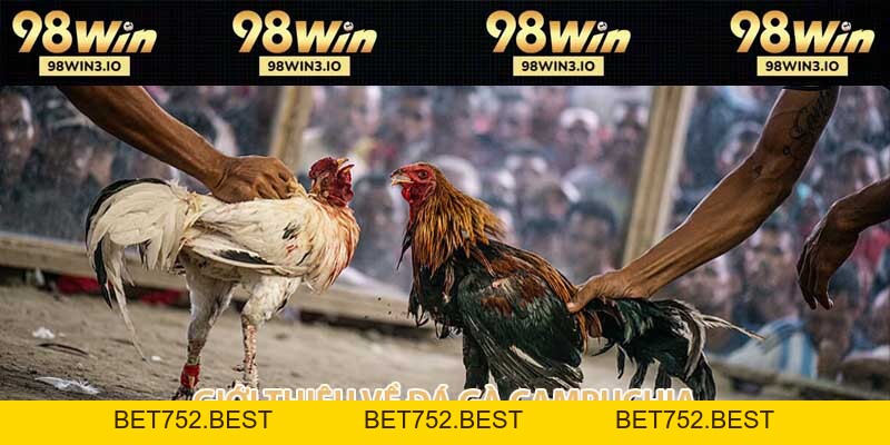 Đá Gà Campuchia - Giải Trí Hợp Pháp Sinh Lợi Dễ Dàng 2026 - BET752.BEST