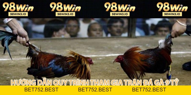 Trận Đá Gà 9 Tỷ - Kỷ Lục Đỉnh Cao Làng Chọi Kê Năm 2026 - BET752.BEST