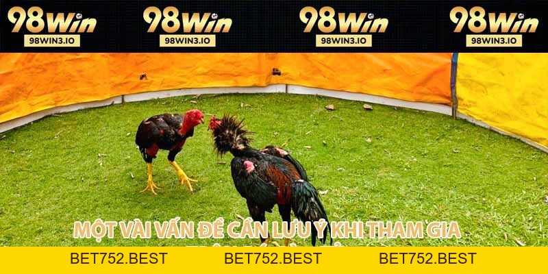 Trận Đá Gà 9 Tỷ - Kỷ Lục Đỉnh Cao Làng Chọi Kê Năm 2026 - BET752.BEST