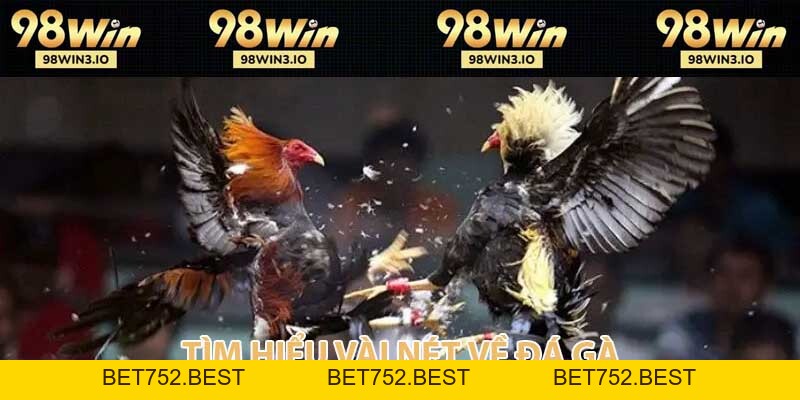 Đá Gà 98WIN - Đỉnh Cao Cá Cược Chọi Kê Năm 2026 - BET752.BEST