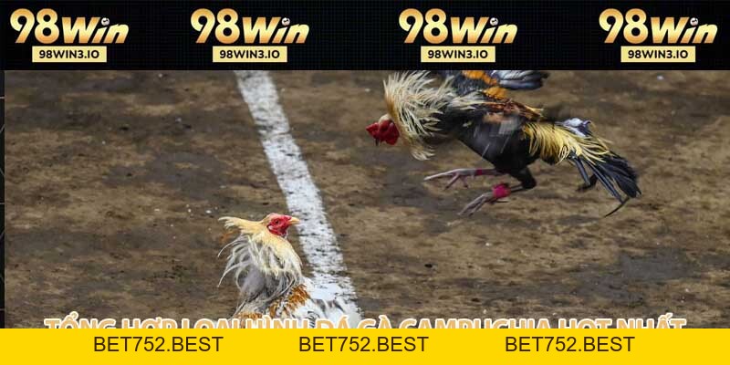 Đá Gà Campuchia - Giải Trí Hợp Pháp Sinh Lợi Dễ Dàng 2026 - BET752.BEST