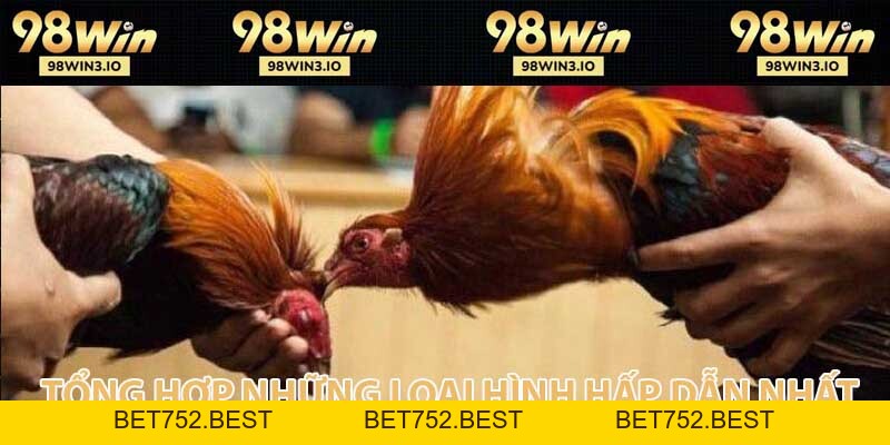 Đá Gà 98WIN - Đỉnh Cao Cá Cược Chọi Kê Năm 2026 - BET752.BEST
