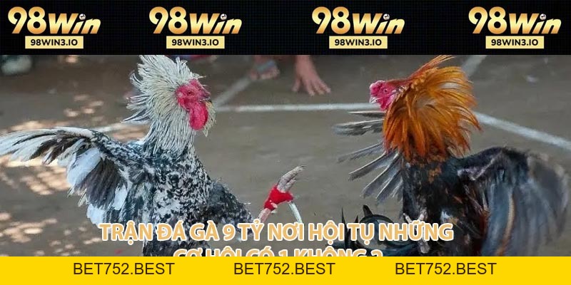 Trận Đá Gà 9 Tỷ - Kỷ Lục Đỉnh Cao Làng Chọi Kê Năm 2026 - BET752.BEST
